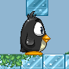 Popsy the Penguin